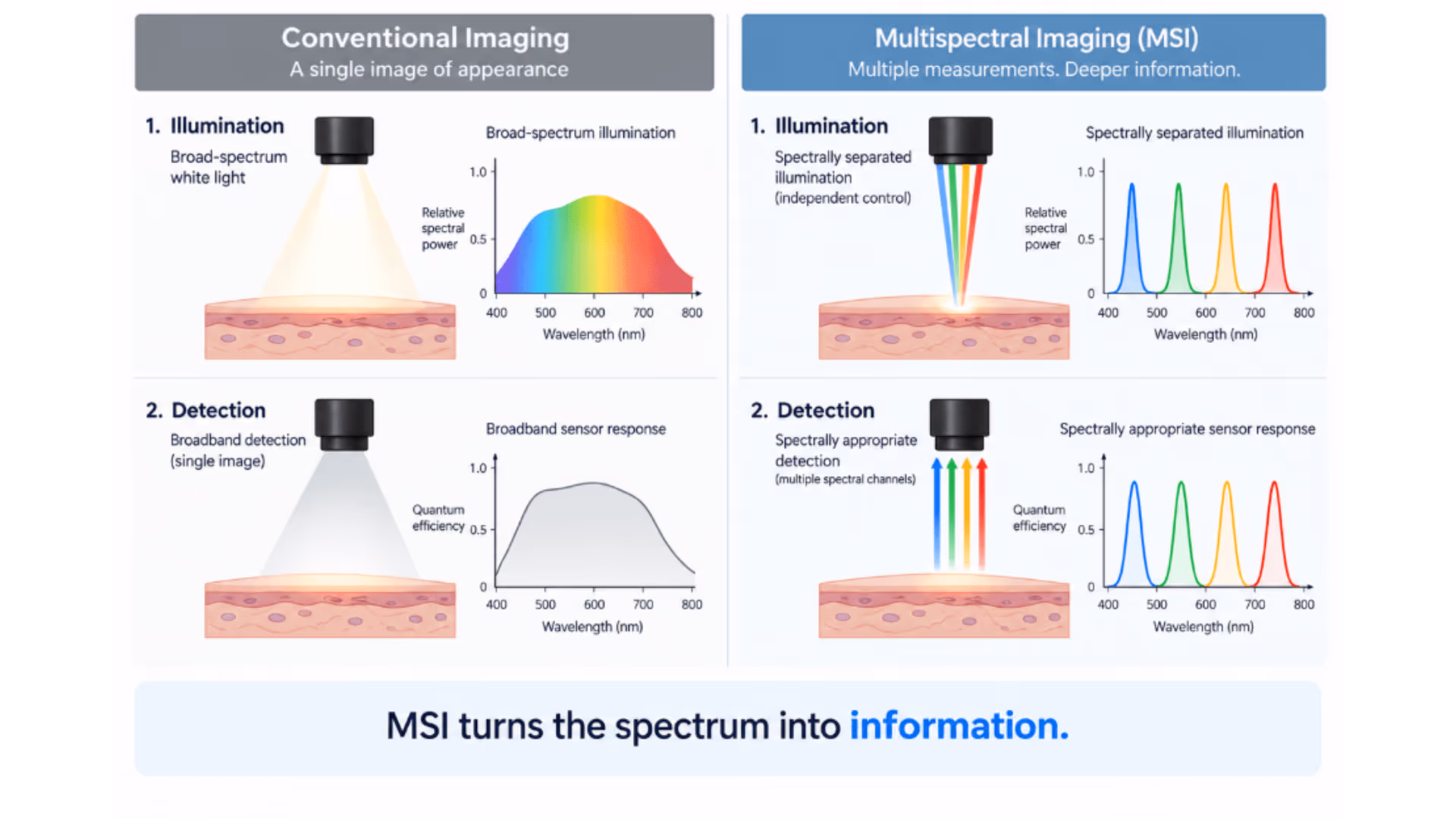 What Is Multispectral Imaging?
