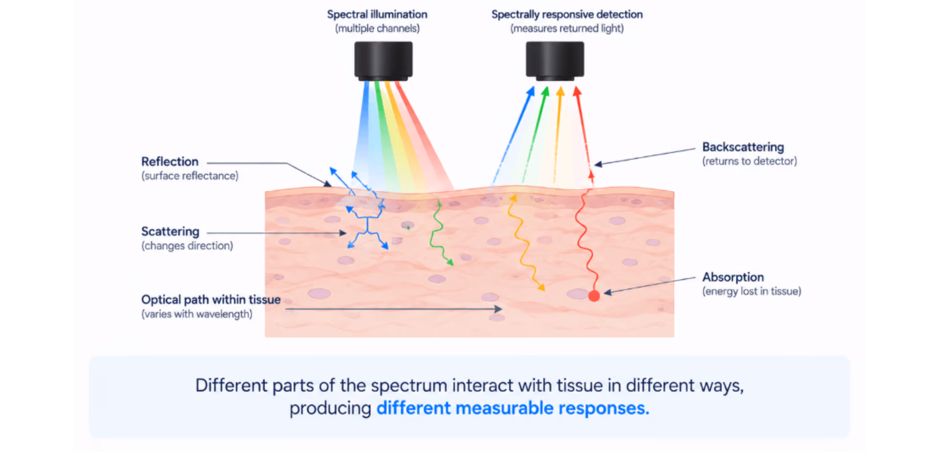 The Science of MSI